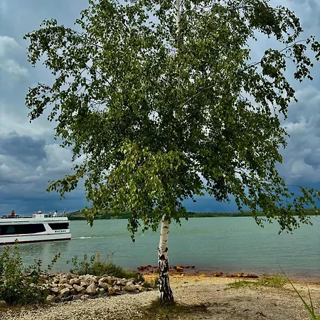 Neuseenland 아파트 *